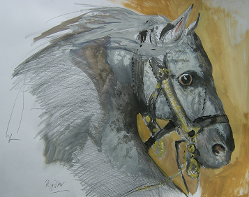 CONTEMPORARY EQUESTRIAN PAINTINGS